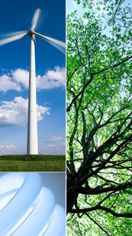 parmenter-green_sustainability.jpg